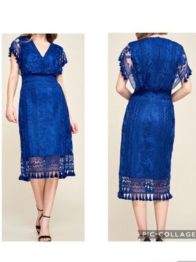 TADASHI SHOJI Dress Sz 10 Brooklyn Embroidered Tassel Cocktail Wedding Dress